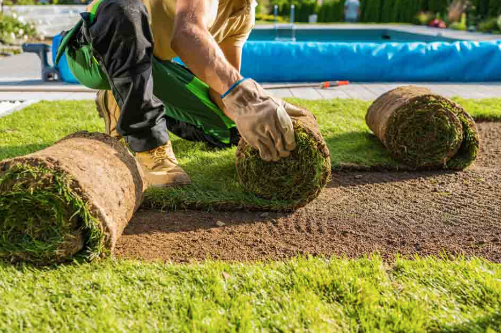 Fideleturf || fidelturf || fidelturf winner || fidelturf pmu